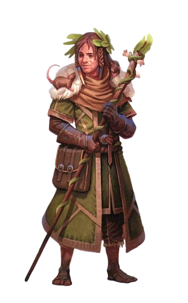 The Ultimate D&D 5E Druid Class Guide (2022) (2022)